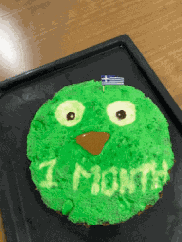 Duolingo Duolingo One Month GIF