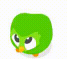 Duolingo Gif GIF