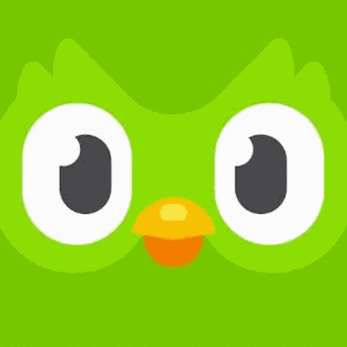Duolingo GIF