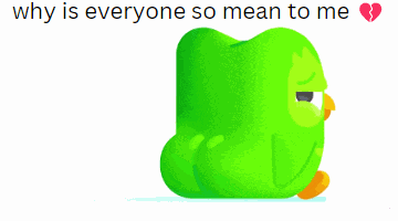 Duolingo Why Is Everyone So Mean To Me Meme