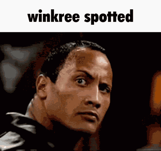 Dwayne The Rock Johnson Winkree GIF