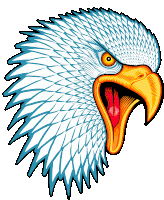 Eagle American Eagle Sticker