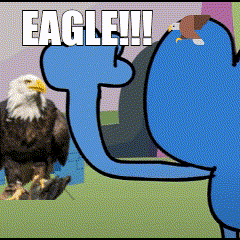 Eagle Bald Eagle GIF