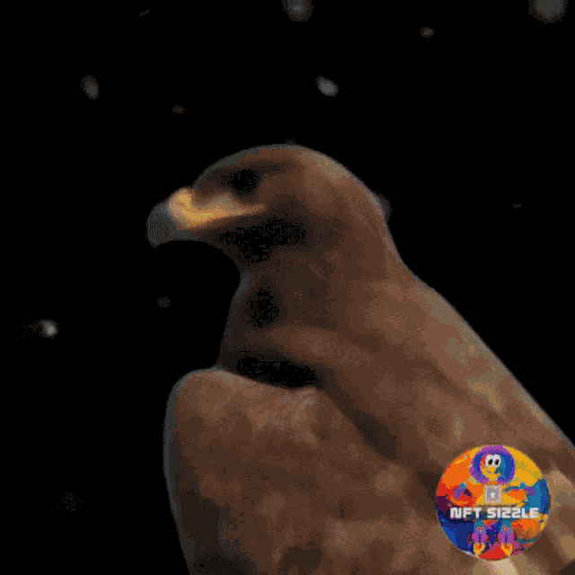 Eagle Nft Sizzle GIF