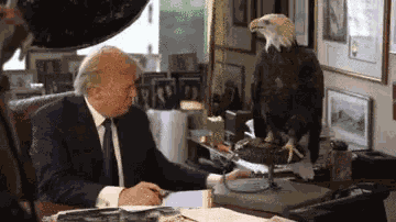 Eagle Trump GIF