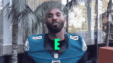 Eagles Philadelphia Eagles GIF