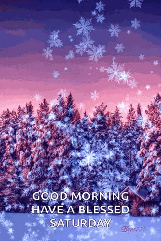 Early Morn Snow Winter GIF