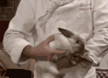 Easter Rabbit GIF