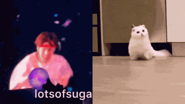Eat4jin Yoongi Cat GIF