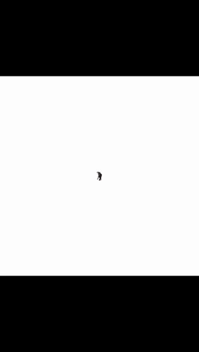 Echou Black Cat GIF