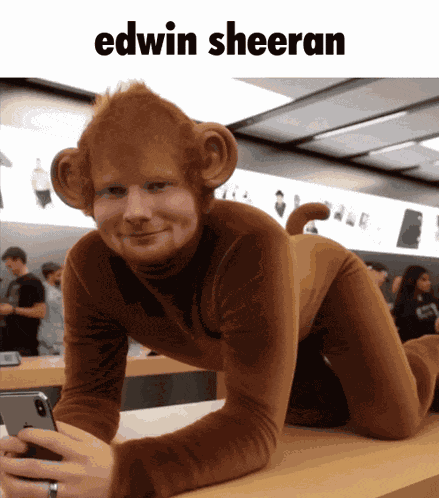 Ed Sheeran Monkey GIF