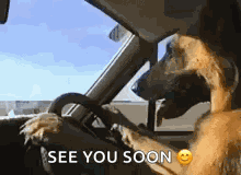 Eddy Hoho GIF