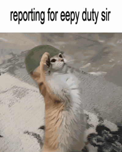 Eepy Duty Meme