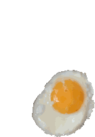 Egg Fried Sticker