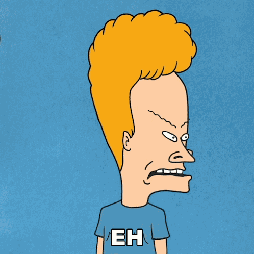 Eh I Don'T Know Why We Bother Beavis GIF