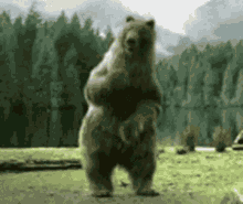 Eheum GIF