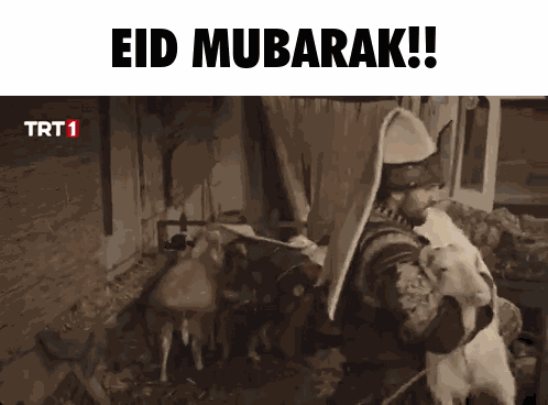 Eid Mubarak Mehmed GIF