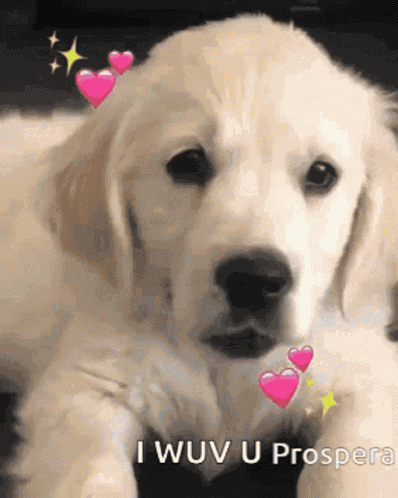 Eid Mubarak GIF