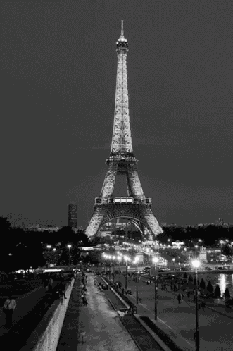 Eiffel Tower Paris GIF
