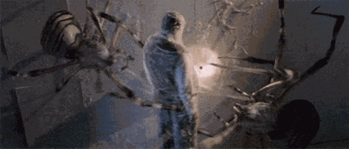 Eight Legged GIF