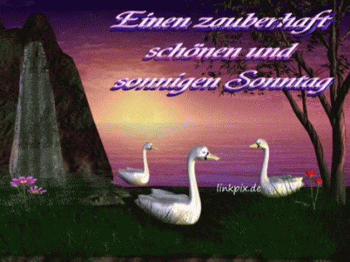 Einen Zauberhaft Schönen Und Sonnigen Sonntag GIF