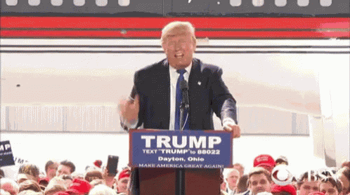 El Susto De Donald Trump GIF