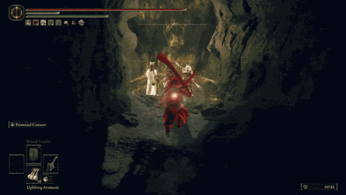 Elden Ring Chase The Bro GIF