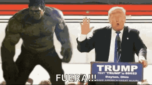 Elections GIF