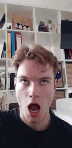 Electronic Visions Luc GIF