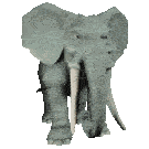 Elephant Jumanji Sticker