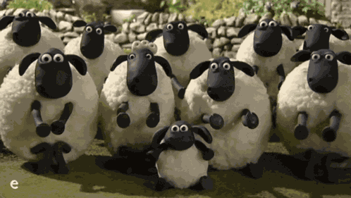 Eli Aplauso GIF