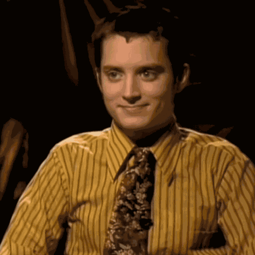 Elijah Wood Frodo Baggins GIF