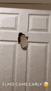 Elmo Elmo Gifs GIF