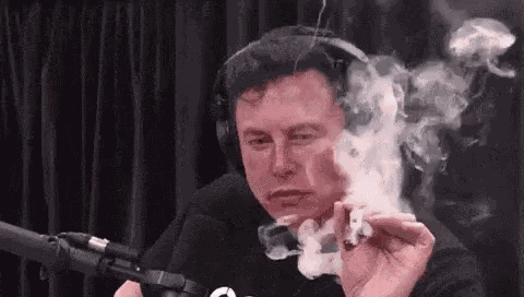 Elon Musk Smoke GIF
