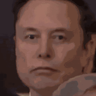 Elon Musk Stare GIF
