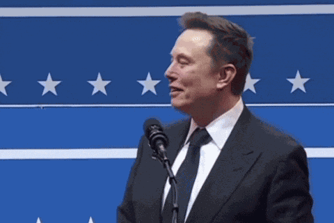 Elon Musk This Is Elon Musk GIF