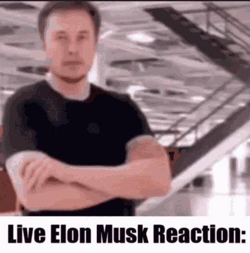 Elon Musk GIF