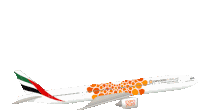 Emirates Airplane Sticker