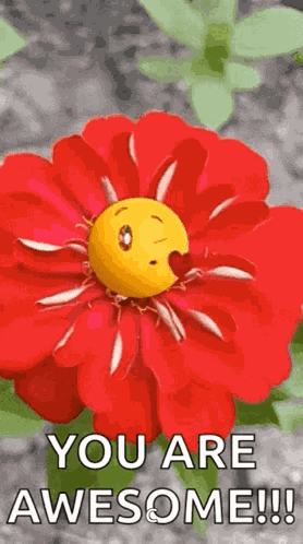 Emoji Flowers GIF