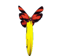 Emoji Smiley Sticker