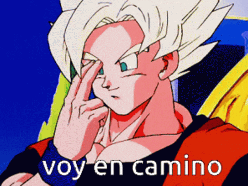 En Camino GIF