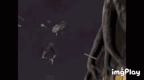 Enma Sarutobi Fight GIF