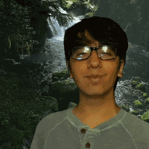 Environment Flora And Fauna GIF