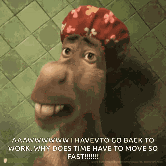 Enyell Burro GIF