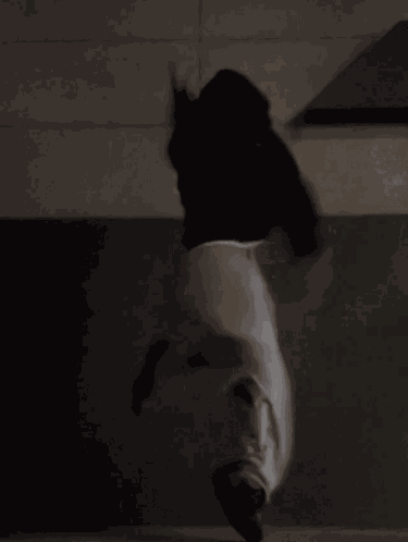 Epexreaction Epexmu GIF