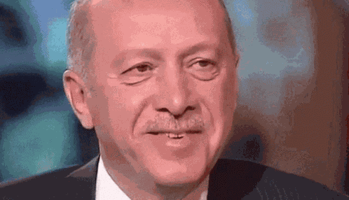 Erdogan Turkey GIF