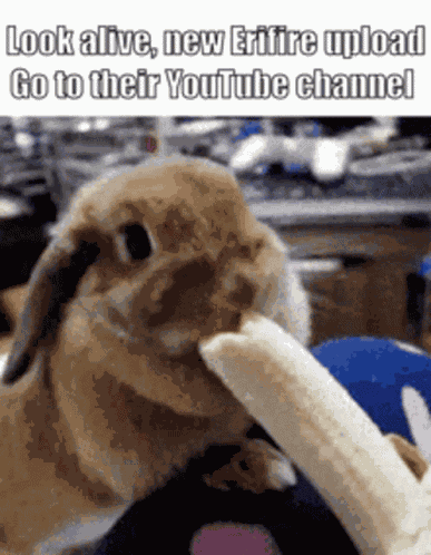 Erifire New Upload GIF