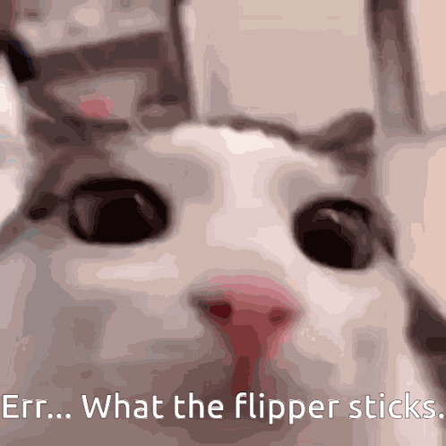 Erm What The Flipper Sticks GIF