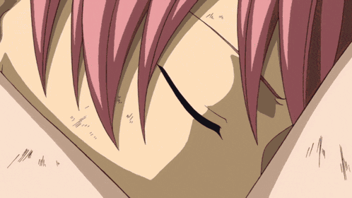 Erza Natsu GIF
