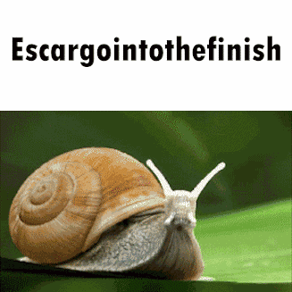 Escargointothefinish Tmnf GIF